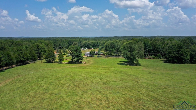 1226 County Road 1896, Linden, TX 75563 - overview of rural landscape with a forest