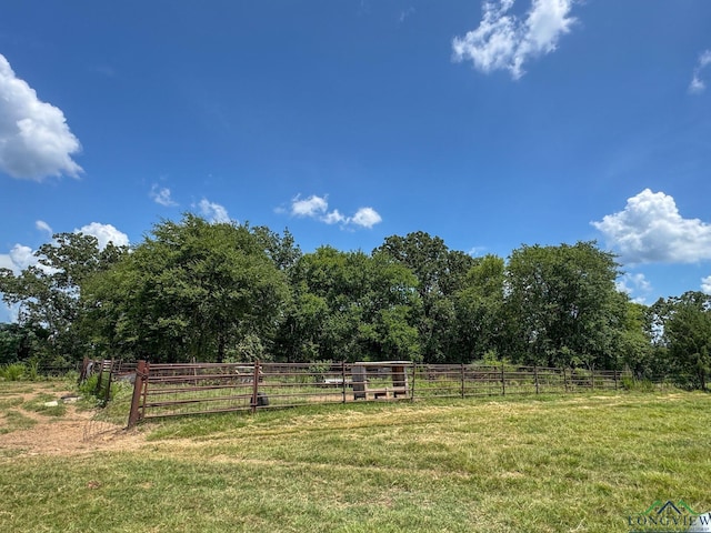 1226 County Road 1896, Linden, TX 75563 - view of yard featuring a view of rural / pastoral area