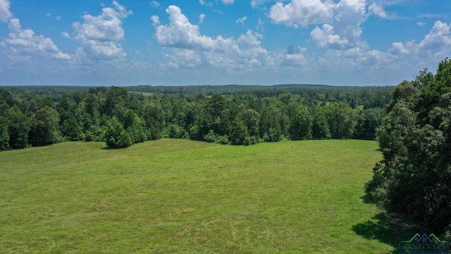 1226 County Road 1896, Linden, TX 75563 - drone / aerial view of a forest