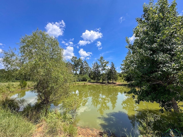 1226 County Road 1896, Linden, TX 75563 - water view