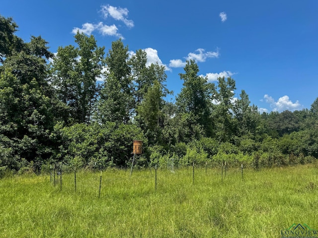 1226 County Road 1896, Linden, TX 75563 - view of nature