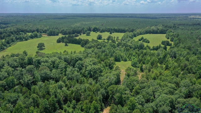 1226 County Road 1896, Linden, TX 75563 - aerial overview of property's location featuring a forest