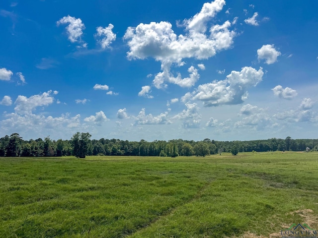 1226 County Road 1896, Linden, TX 75563 - view of green lawn with a view of countryside and a forest view