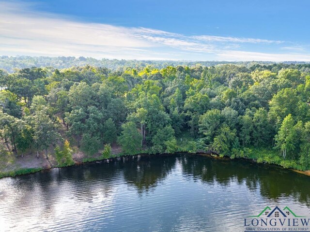 Listing photo 3 for LOT43 Katie Ln, Gilmer, Tx, Usa, Gilmer TX 75644