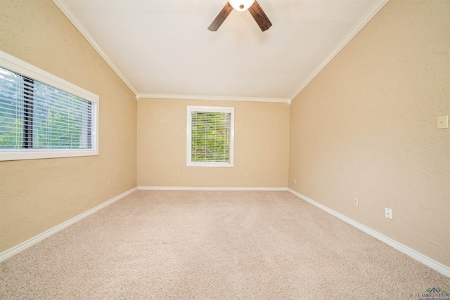 1822 Northwood Ct, Longview, TX 75604 - unfurnished room featuring a ceiling fan, crown molding, carpet flooring, a textured wall, and baseboards