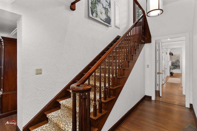 stairway with wood-type flooring