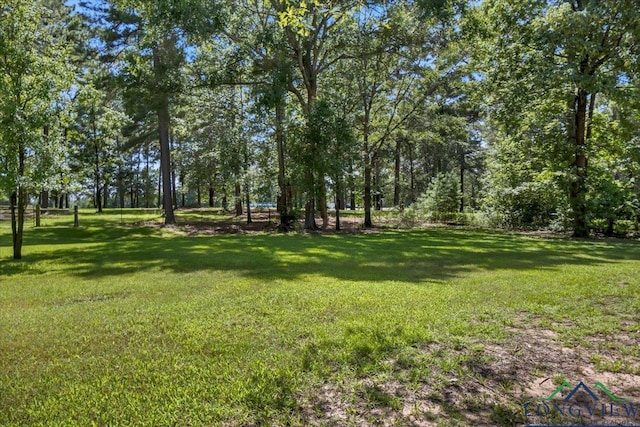 15811 S US Highway 259, Mount Enterprise, TX 75681 - photo 38