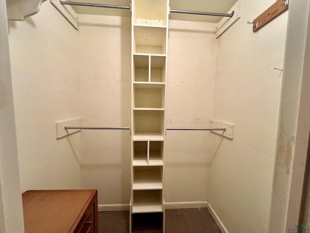 1400 Shreveport St, Elysian Fields, TX 75642 - view of spacious closet