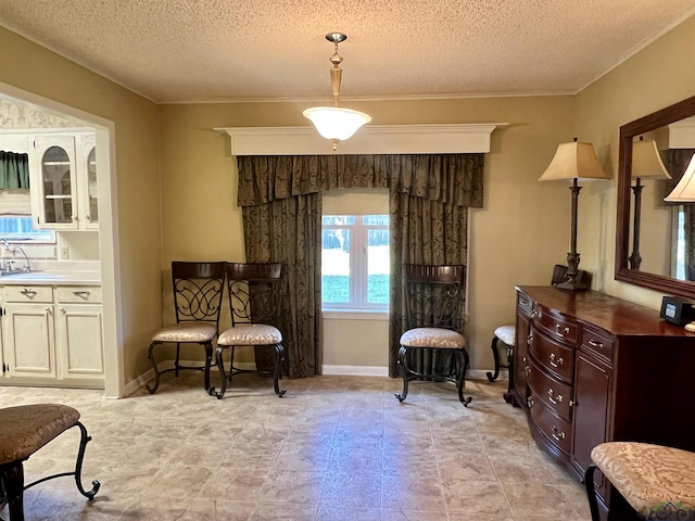 sitting room featuring sink, a textured ceiling, and ornamental molding