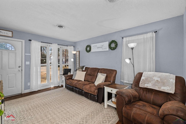 living room with a textured ceiling and light hardwood / wood-style flooring