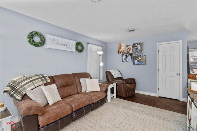 living room featuring light hardwood / wood-style floors