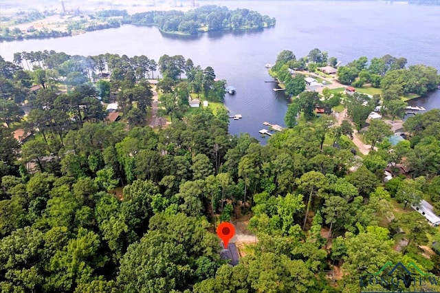 299 Southshore Dr, Lone Star, TX 75668 - view of property location featuring a large body of water