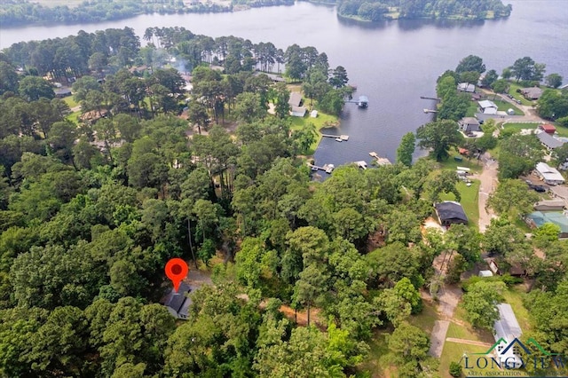 299 Southshore Dr, Lone Star, TX 75668 - view of property location with a large body of water