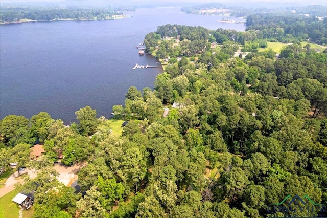 299 Southshore Dr, Lone Star, TX 75668 - view of property location with a forest and a nearby body of water