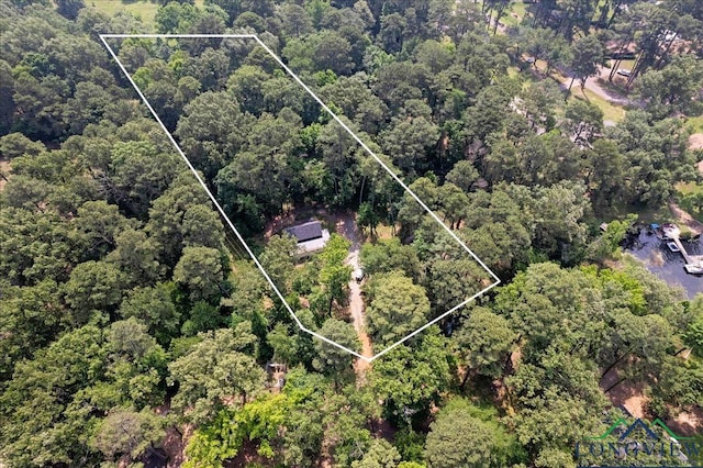 299 Southshore Dr, Lone Star, TX 75668 - aerial overview of property's location with property boundaries highlighted and a forest