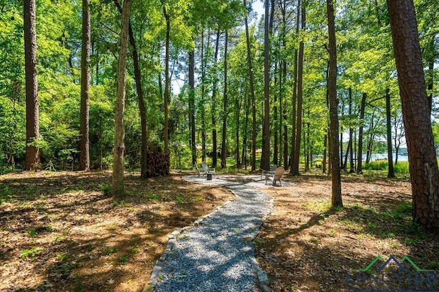 299 Southshore Dr, Lone Star, TX 75668 - view of surrounding community