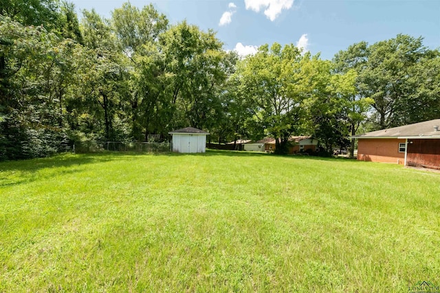 view of yard with a shed