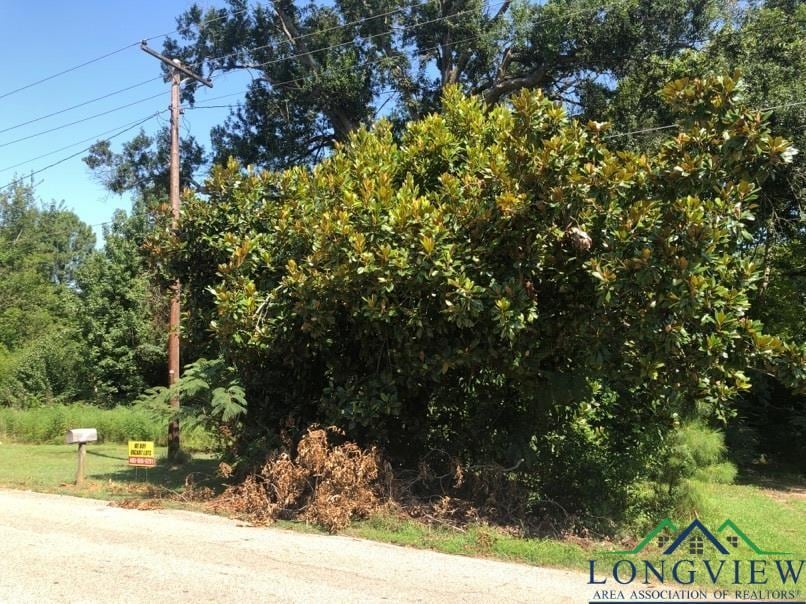1109 Millie St, Longview, TX 75602 - photo 3