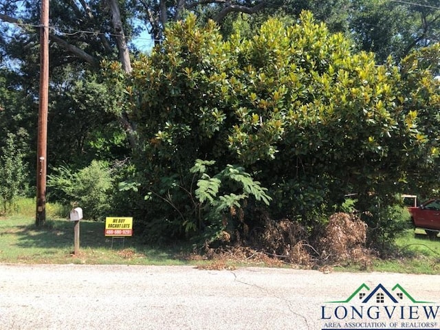 1109 Millie St, Longview, TX 75602 - photo 1
