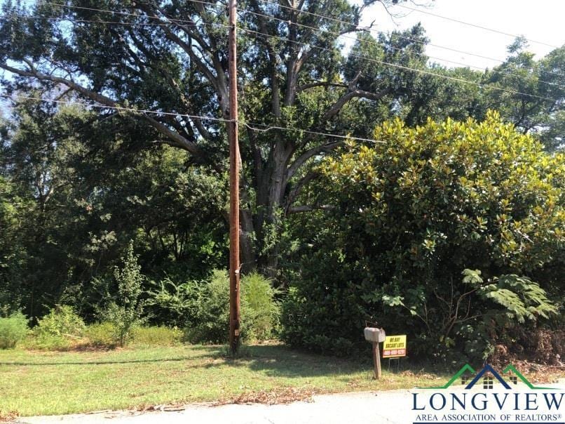 1109 Millie St, Longview, TX 75602 - photo 2