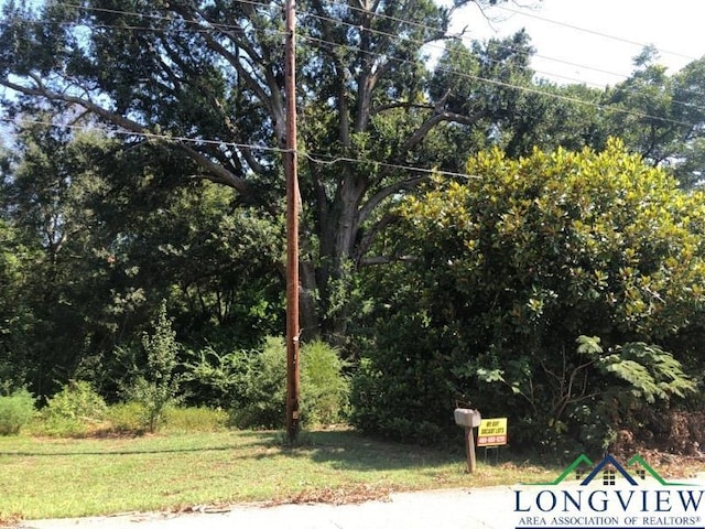 1109 Millie St, Longview, TX 75602 - photo 2
