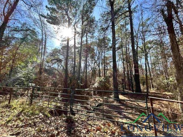 1395 Phillips Spgs, Gladewater TX, 75647 land for sale