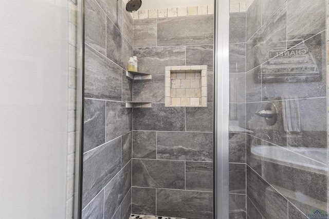 full bathroom featuring a shower stall