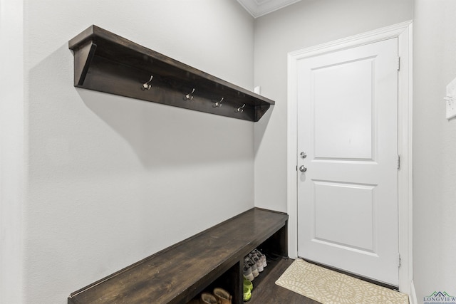 mudroom with dark wood-type flooring