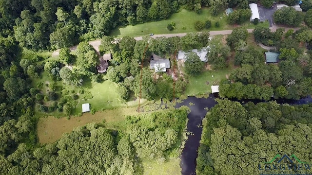 523 Big Lake Rd, Karnack, TX 75661 - photo 4