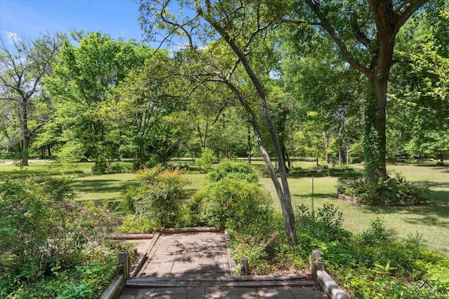 1492 Sleepy Hollow Ln, Canton, TX 75103 - view of property's community with a lawn