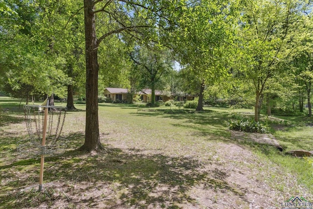 1492 Sleepy Hollow Ln, Canton, TX 75103 - view of yard