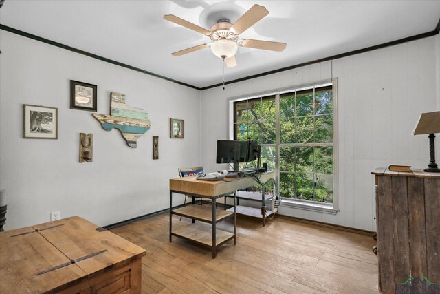 1492 Sleepy Hollow Ln, Canton, TX 75103 - office area featuring light wood-style flooring, baseboards, a ceiling fan, and crown molding