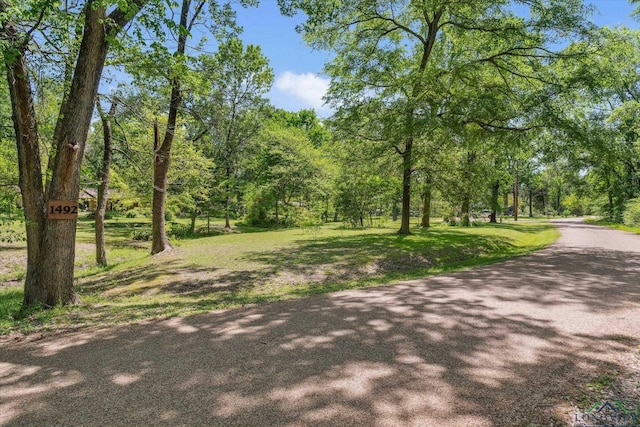 1492 Sleepy Hollow Ln, Canton, TX 75103 - exterior space with a lawn