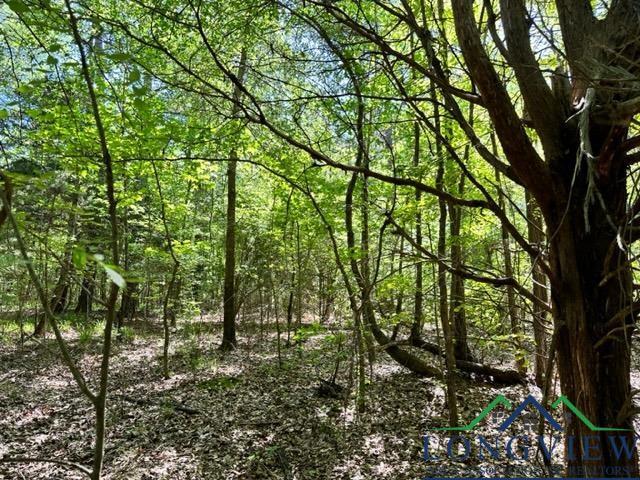 Listing photo 2 for TBD Phillips Springs Road, Gladewater TX 75647