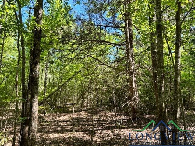 TBD Phillips Springs Road, Gladewater TX, 75647 land for sale