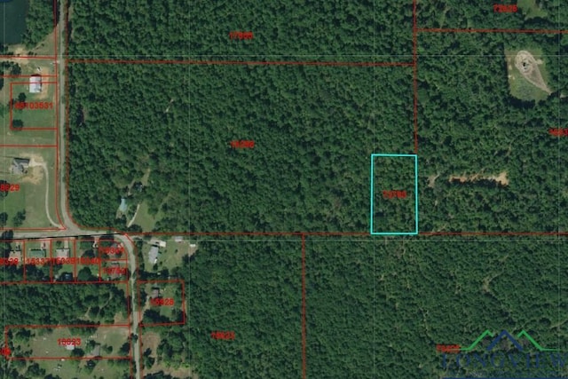 Listing photo 3 for TBD Phillips Springs Road, Gladewater TX 75647