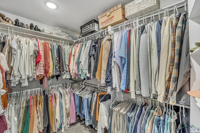 17182 Ironwood Dr, Flint, TX 75762 - view of spacious closet