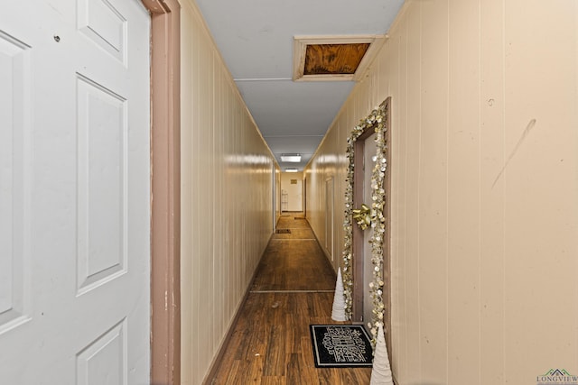 hall with wooden walls and dark hardwood / wood-style flooring