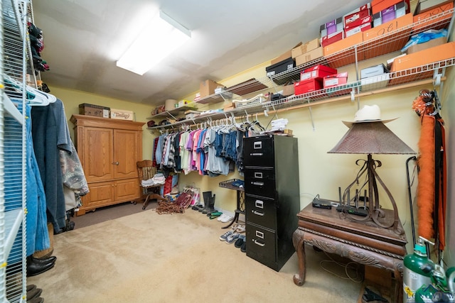 walk in closet with carpet