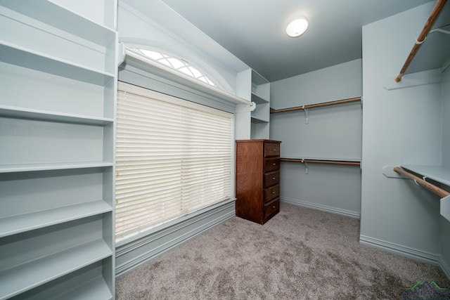 walk in closet with light colored carpet