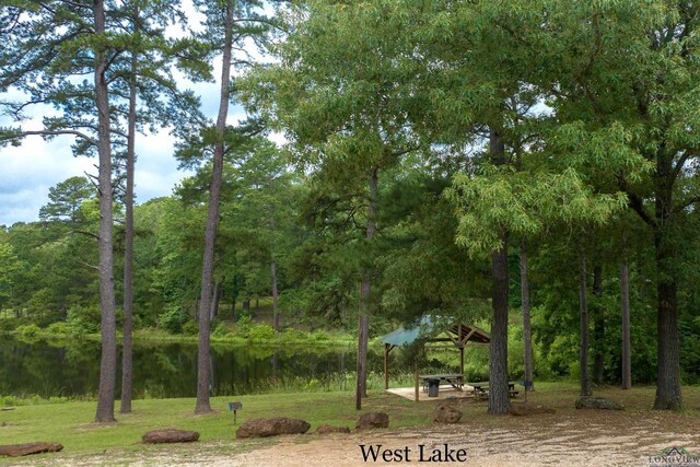 5972 Glenwood Dr, Gilmer, TX 75645 - photo 35