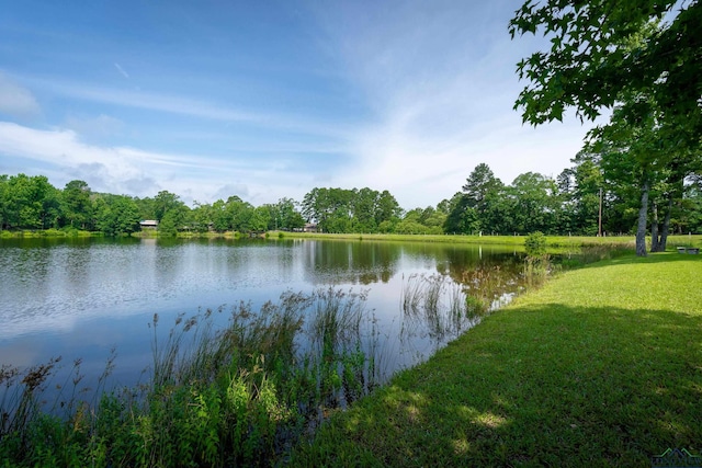 5972 Glenwood Dr, Gilmer, TX 75645 - photo 43
