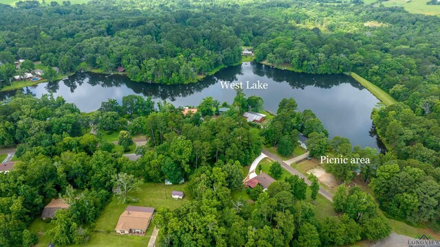 5972 Glenwood Dr, Gilmer, TX 75645 - photo 32
