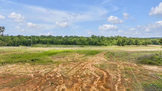 14013 Fm 2868, Flint, TX 75762 - photo 18