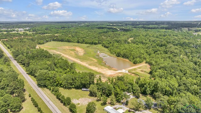 14013 Fm 2868, Flint, TX 75762 - photo 3