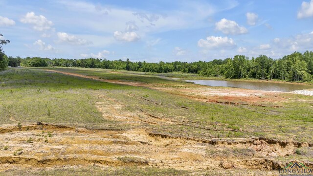 14013 Fm 2868, Flint, TX 75762 - photo 11
