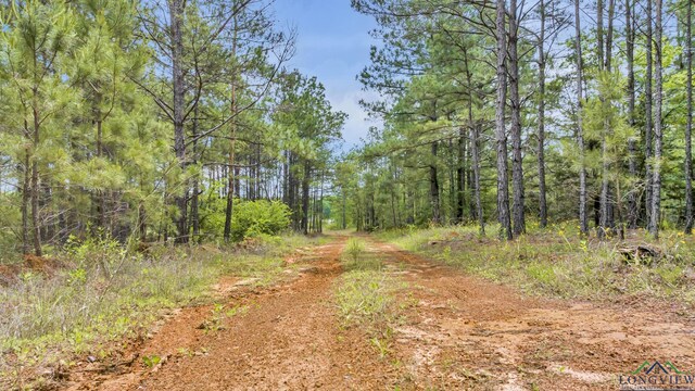 14013 Fm 2868, Flint, TX 75762 - photo 15