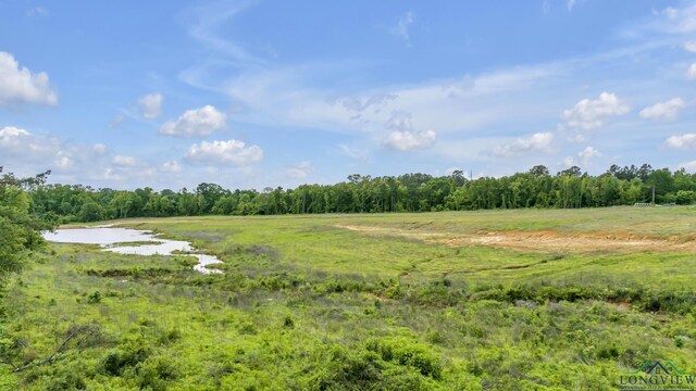 14013 Fm 2868, Flint, TX 75762 - photo 7