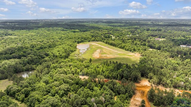 14013 Fm 2868, Flint, TX 75762 - photo 5