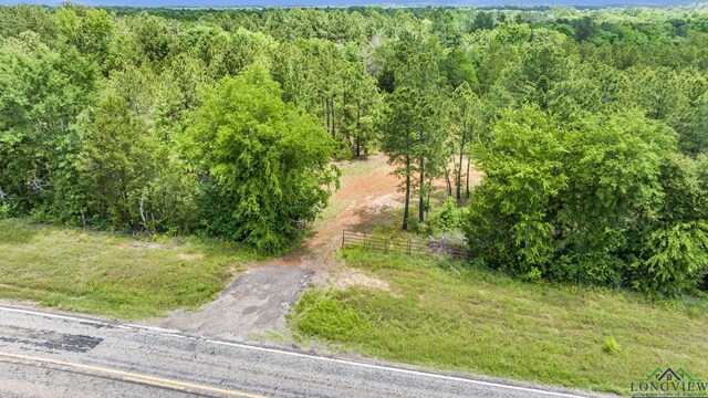 14013 Fm 2868, Flint, TX 75762 - photo 14
